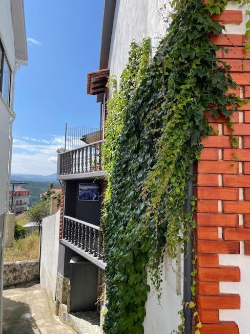 Casa Da Portela Пенакова Экстерьер фото